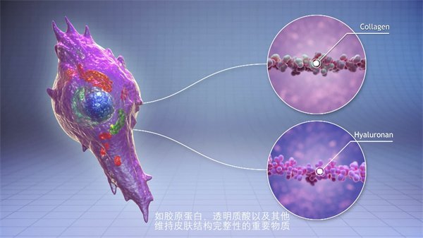 三維動(dòng)畫制作45